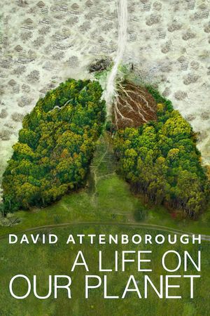 David Attenborough: A Life on Our Planet's poster
