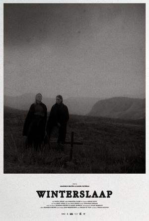 Hibernation's poster