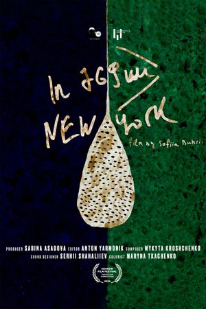 In 769 km, New York's poster