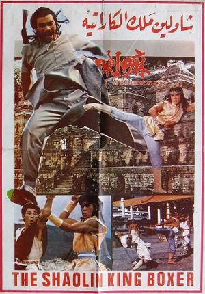 Tie quan's poster