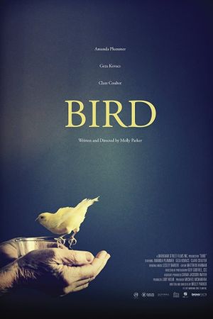 Bird's poster