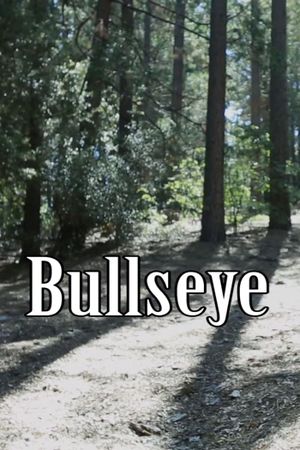 Bullseye's poster