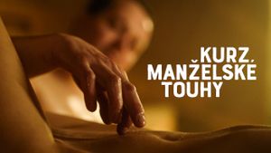 Kurz manzelské touhy's poster