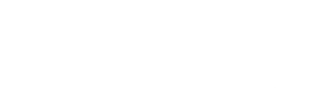 Article 15's poster