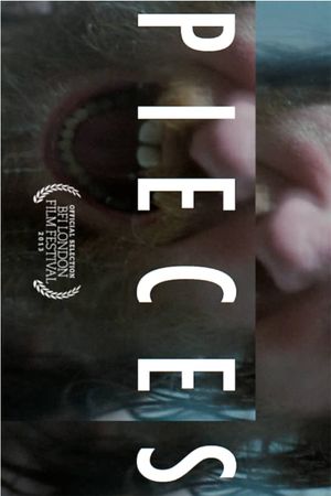 Pieces's poster