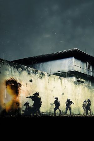 Zero Dark Thirty's poster
