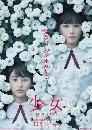 Night's Tightrope's poster