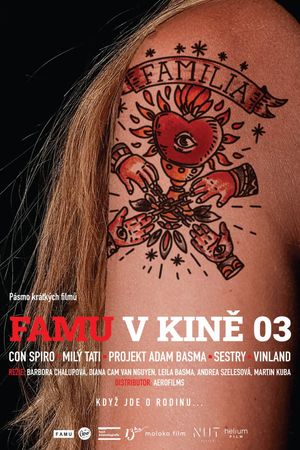 FAMU v kině 03's poster