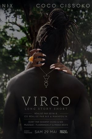 Virgo – Long Story Short's poster
