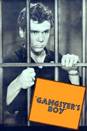 Gangster's Boy's poster