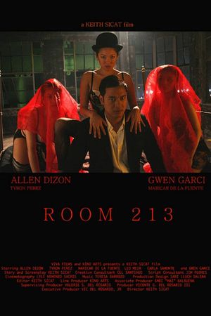 Room 213's poster