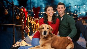 A Shelter and Season’s Greetings's poster