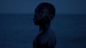 Moonlight's poster
