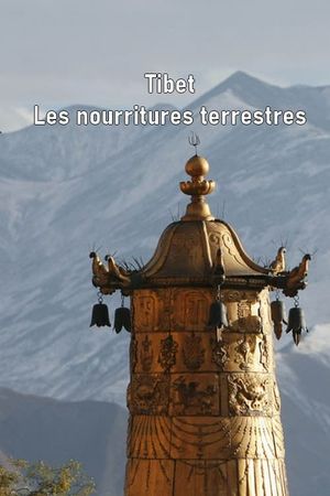 Tibet - Les nourritures terrestres's poster