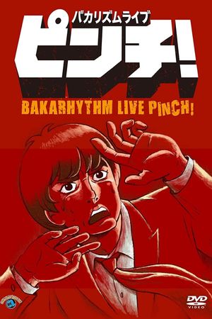 Bakarhythm Live 「Pinch!」's poster