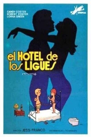 The Hotel of Love Affairs's poster