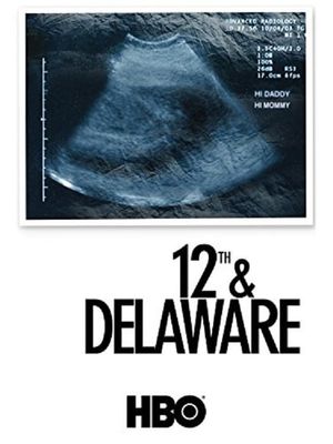 12th & Delaware's poster
