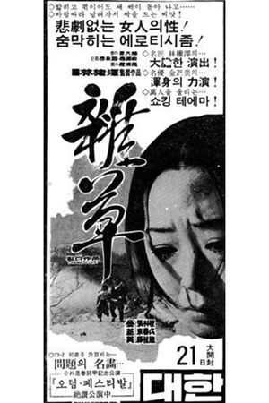 The Deserted Widow's poster