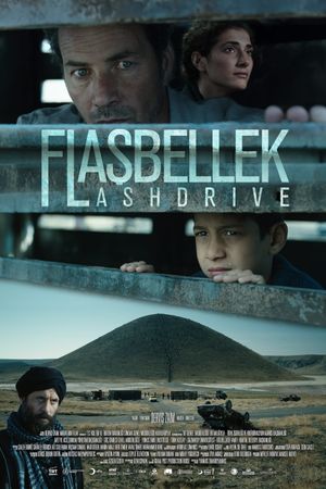 Flash Drive's poster