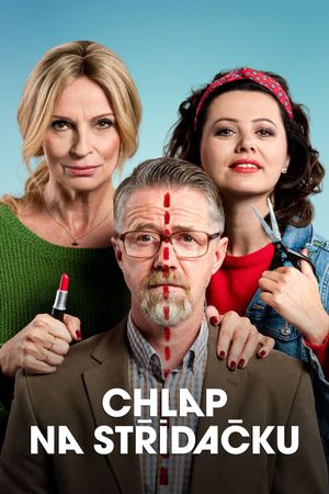 Chlap na strídacku's poster