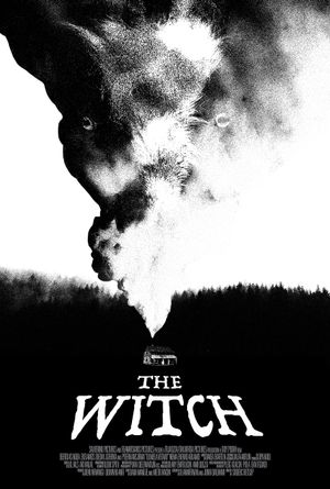 The Witch's poster