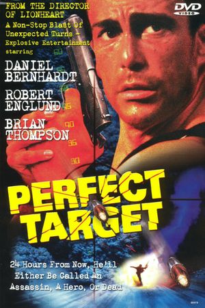 Perfect Target's poster