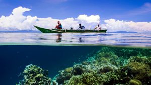 Earth's Natural Wonders's poster