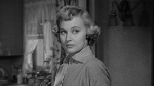 The Killer That Stalked New York's poster