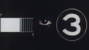 Vagina & Virgin's poster