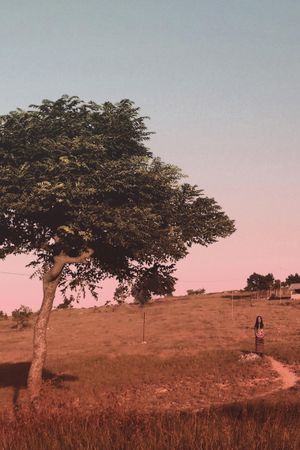Marlina the Murderer in Four Acts's poster