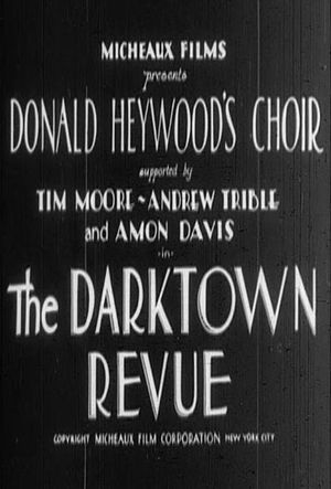 The Darktown Revue's poster