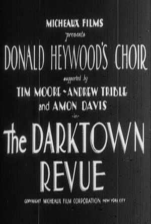 The Darktown Revue's poster image