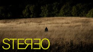 Stereo's poster