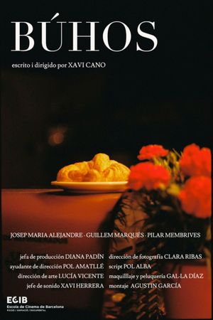 Búhos's poster