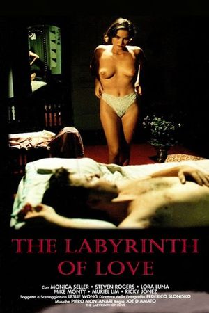 The Labyrinth of Love's poster image