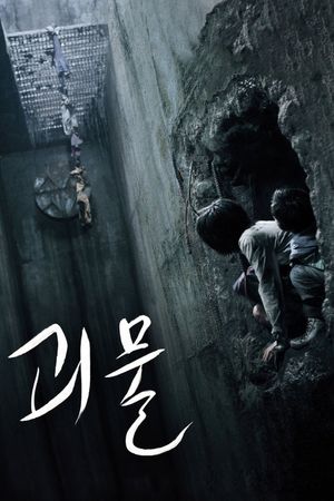 The Host's poster