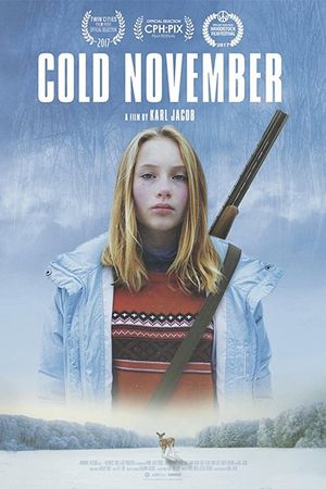 Cold November's poster