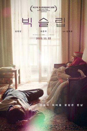 Big Sleep's poster