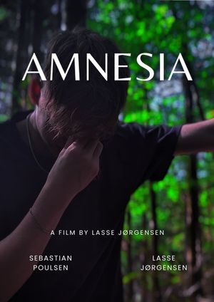 Amnesia's poster