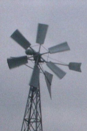 The Windmill's poster