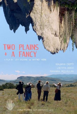 Two Plains & a Fancy's poster