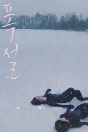 Heavy Snow's poster