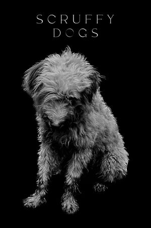 Scruffy Dogs's poster