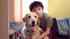 My Dog Dou Dou's poster