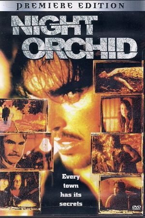 Night Orchid's poster