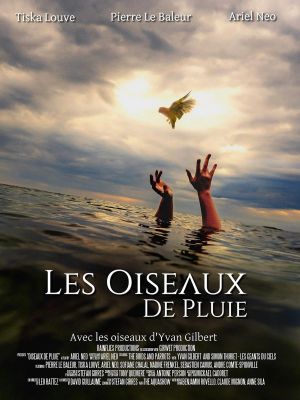 Les Oiseaux de pluie's poster