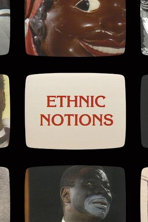 Ethnic Notions's poster