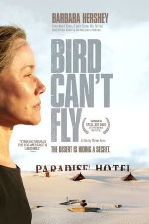 The Bird Can't Fly's poster