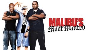Malibu's Most Wanted's poster