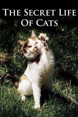 The Secret Life of Cats's poster